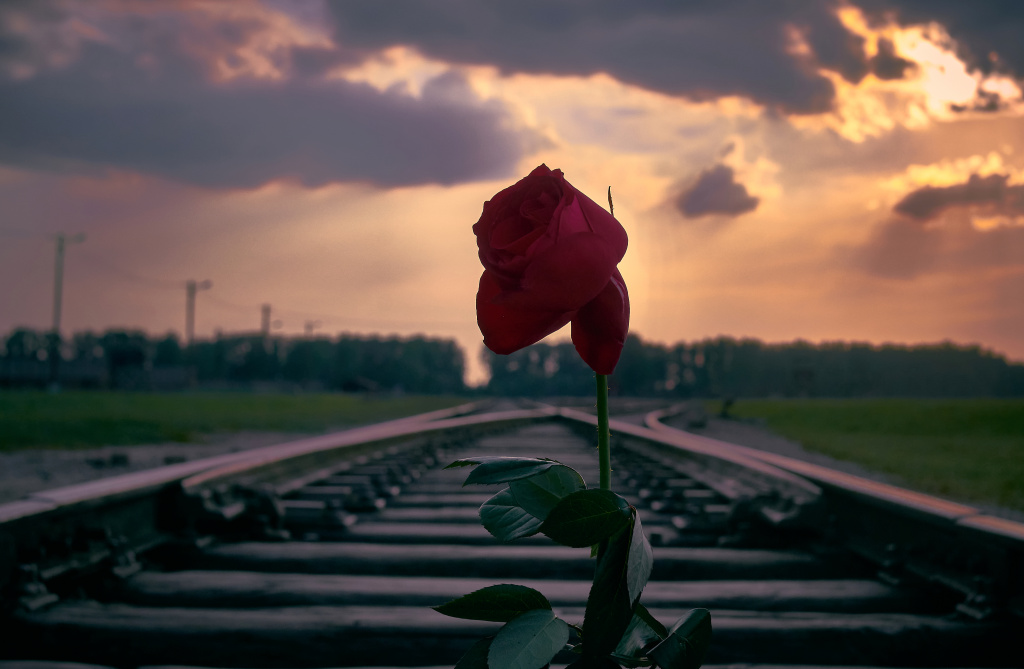 Источник: SHUTTERSTOCK shutterstock_1685597950.jpg
